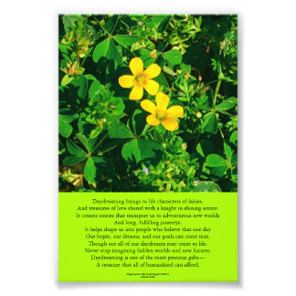Inspirational Daydreaming Poem Photo Print