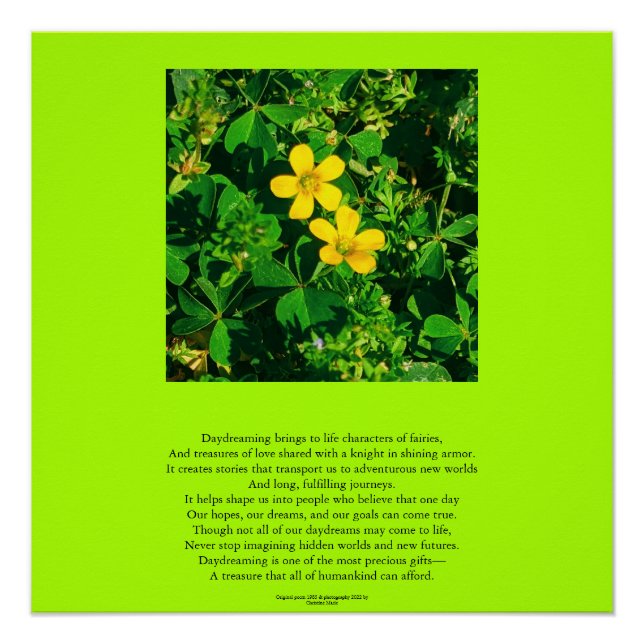 Inspirational Daydreaming Poem Poster (Front)