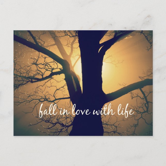 Inspirational Fall in Love with Life Quote Postcard (Front)