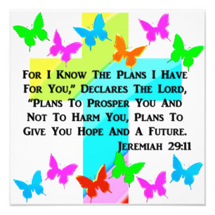INSPIRATIONAL JEREMIAH 29:11 CHRISTIAN PHOTO PRINT