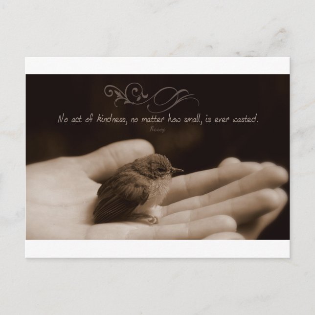 Inspirational Kindness Quote by Aesop Postcard (Front)