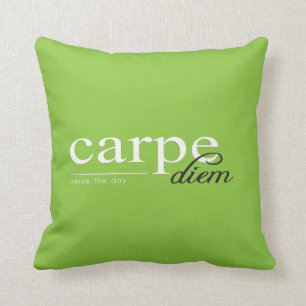 Inspirational Motivational Quote Throw Pillow