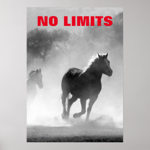 Inspirational No Limits Horses Motivational Poster