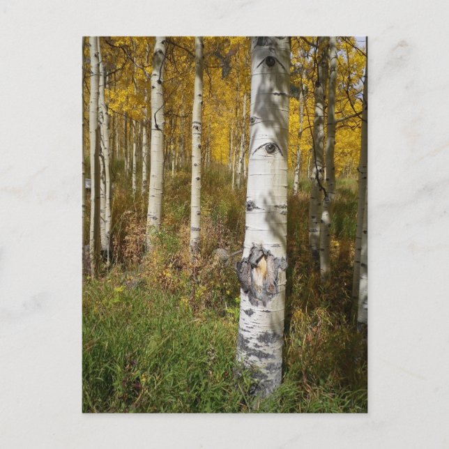 Inspirational Postcard (Front)