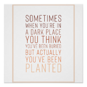 Inspirational Poster 