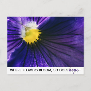 Inspirational purple pansy macro photograph modern postcard