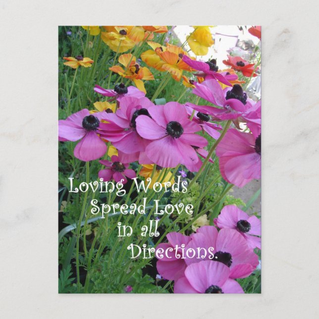 Inspirational Quote Colourful Floral Flower Garden Postcard (Front)