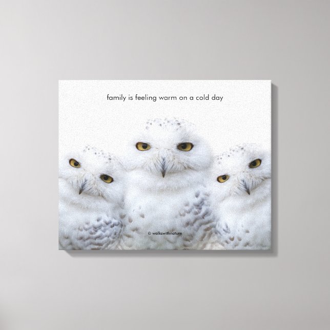 Inspirational Quote Dreamy Wisdom of Snowy Owls Canvas Print (Front)