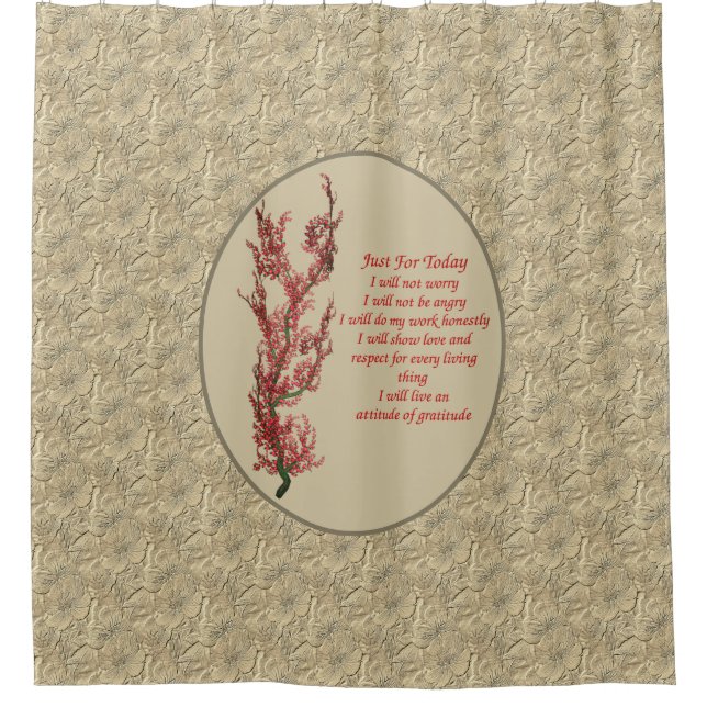 Inspirational Quote Just For Today   (Front)