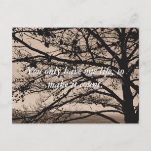 Inspirational Quote Photograph Postcards