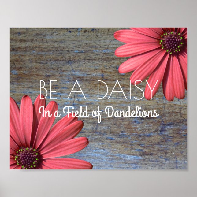 Inspirational Quote | Rustic Wood Be a Daisy Sign (Front)