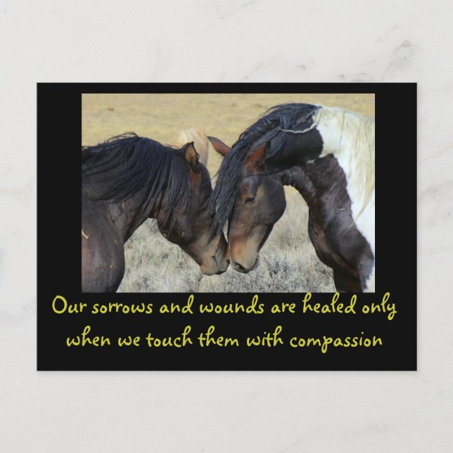 Inspirational Quote. Two Wild Horses Nuzzling Postcard (Front)