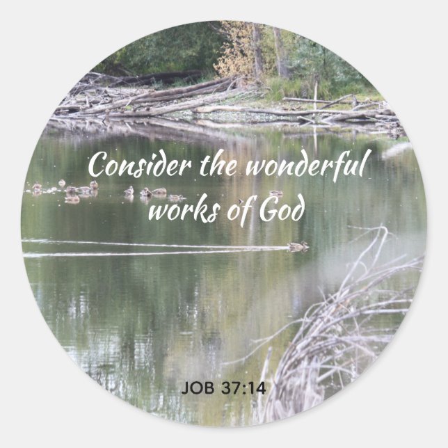 Inspirational Scripture Quote Bird Ducks Swim Pond Classic Round Sticker (Front)