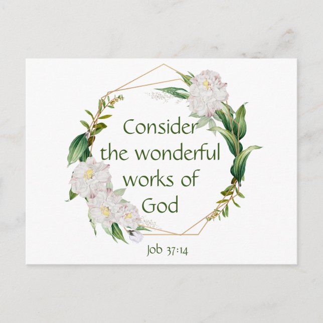 Inspirational Scripture Quote White Roses Flower Postcard (Front)