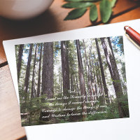 Inspirational Serenity Prayer Sunlit Forest