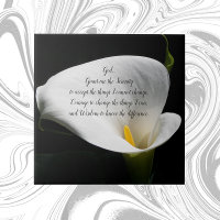 Inspirational Serenity Prayer White Calla Lily