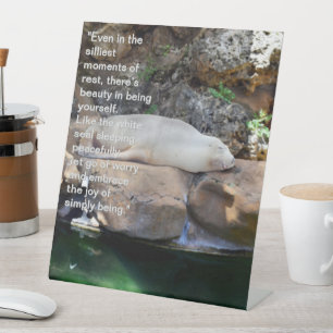 Inspirational: Sleeping White Sea Lion On Rocks, Pedestal Sign