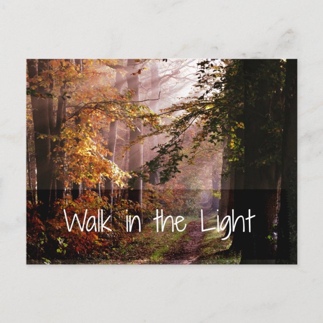 Inspirational Walk in the Light Bible Verse Postcard (Front)