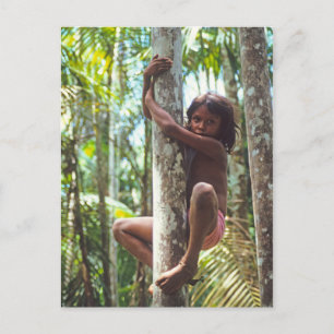 Inspirations. Climbing Trees Postcard
