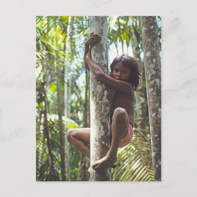 Inspirations. Climbing Trees Postcard (Front)