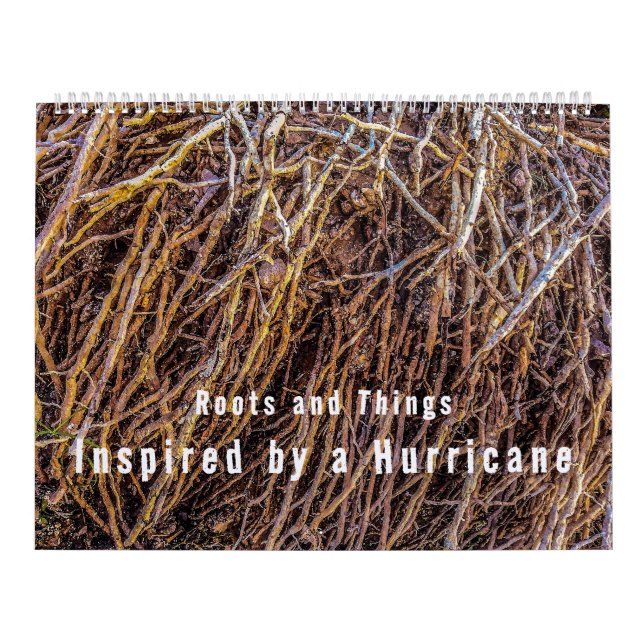 Inspiré par un calendrier des ouragans (Protection)