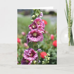 Inspired Hollyhock Flowers Card