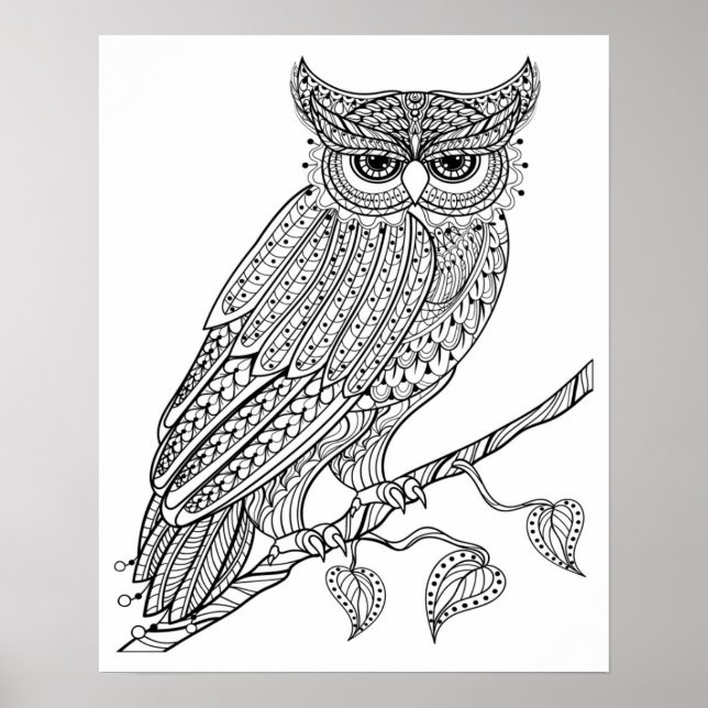 Inspired Magic Owl Sitting On Branch 2 Poster (Front)