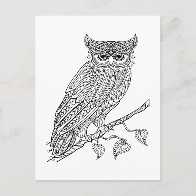 Inspired Magic Owl Sitting On Branch Postcard (Front)