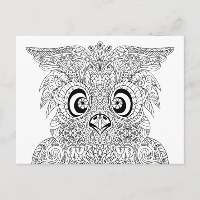 Inspired Owl Portrait Postcard (Front)