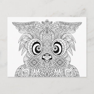 Inspired Owl Portrait Postcard
