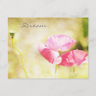 Inspired Pink Poppies Postcard