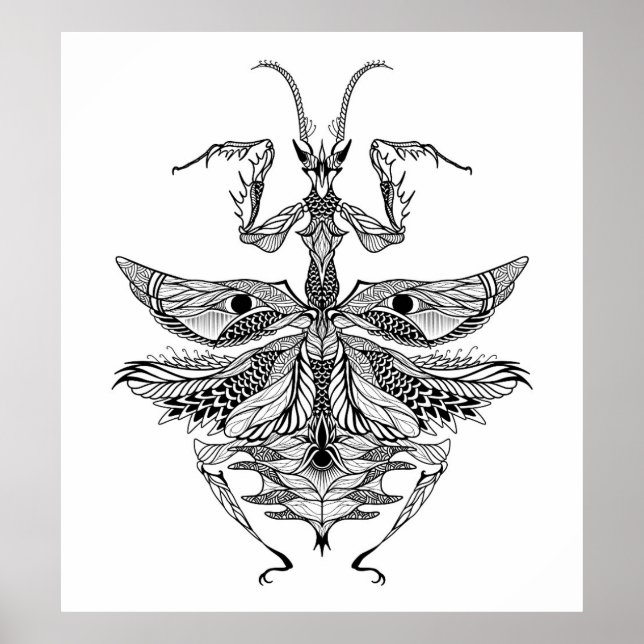Inspired Praying Mantis 2 Poster (Front)