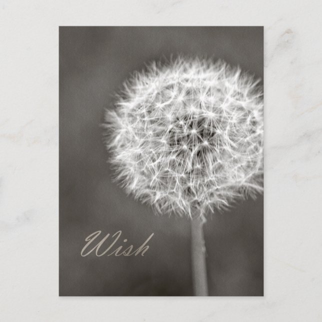 Inspired Wish Dandelion Postcard (Front)