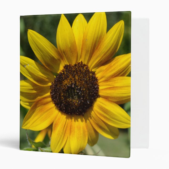 Inspirez le classeur de tournesol de joie (Devant/intérieur)