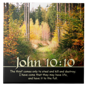 Inspiring Bible Verse John 10 10 Autumn Path Tile