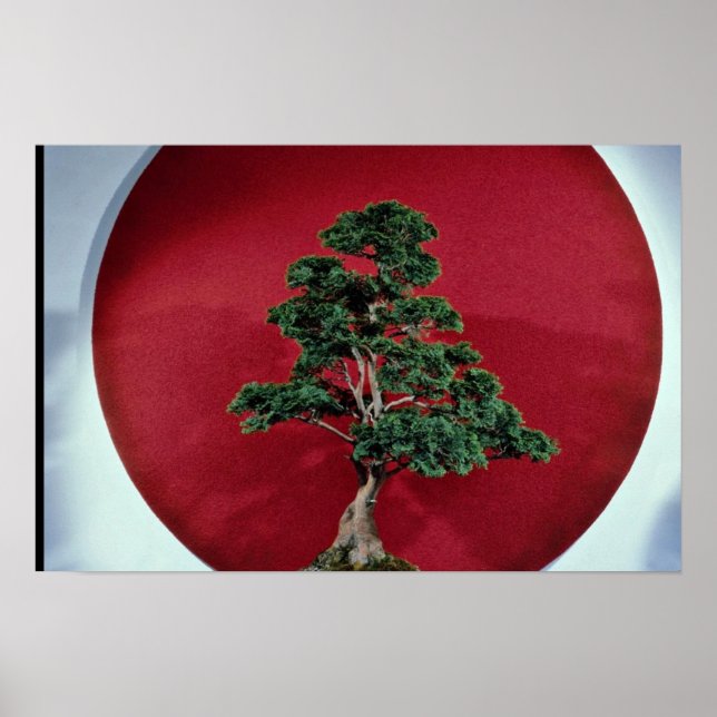 Inspiring Bonsai tree Poster (Front)