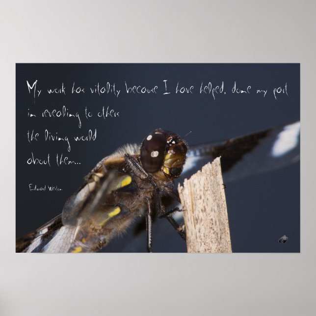 Inspiring Dragonfly Poster (Front)