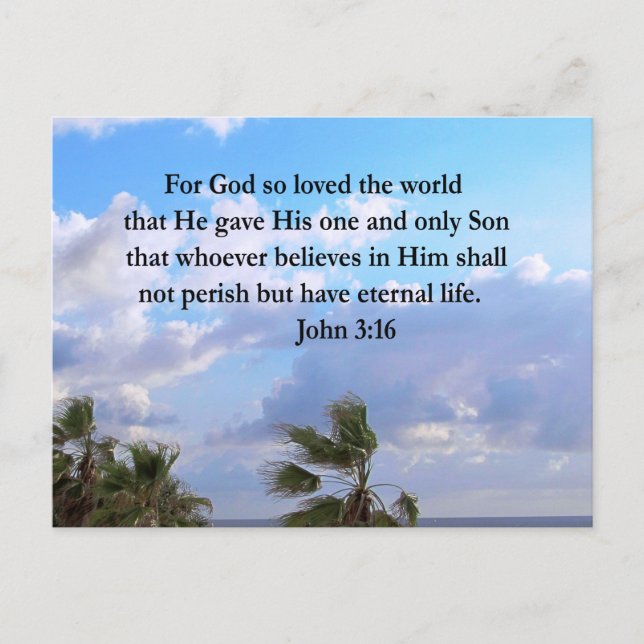 INSPIRING JOHN 3:16 PHOTO POSTCARD (Front)