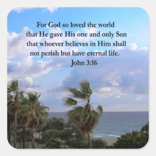 INSPIRING JOHN 3:16 PHOTO SQUARE STICKER