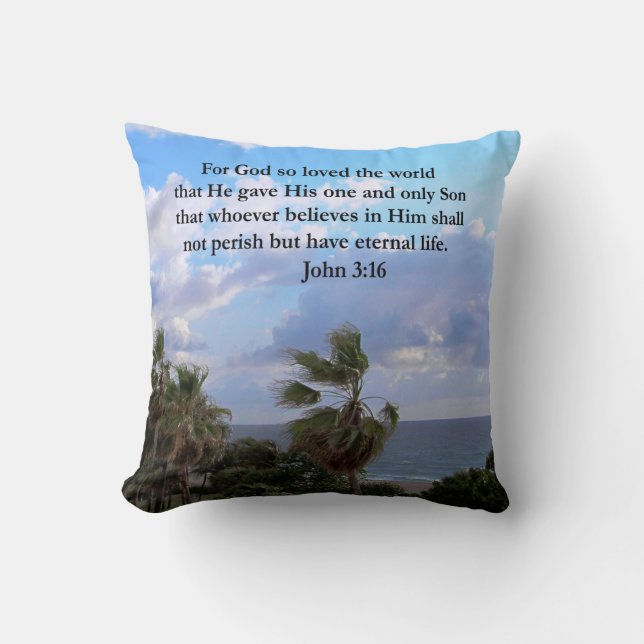INSPIRING JOHN 3:16 PHOTO THROW PILLOW (Front)
