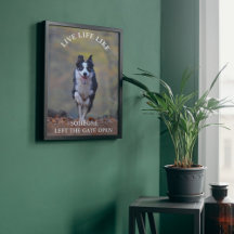 Inspiring Motivational Life Quote with Happy Dog