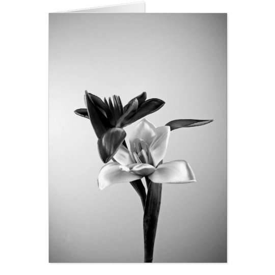 Inspiring Tulips Card