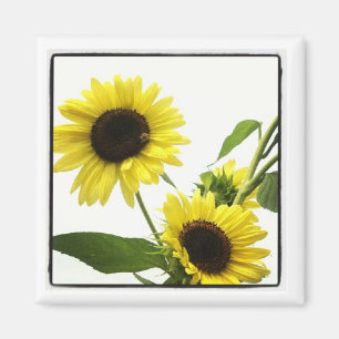 instagram photo magnet