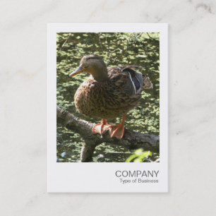 Instant Photo 010 - Happy Duck Business Card