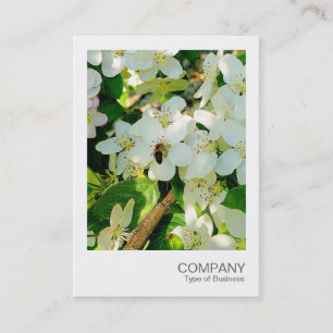 Instant Photo 018 - Cherry Blossom Honey Business Card