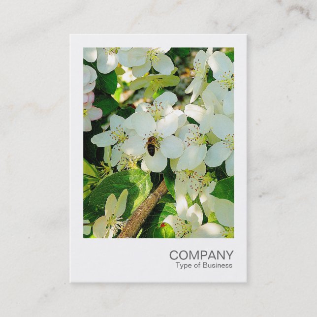 Instant Photo 018 - Cherry Blossom Honey Business Card (Front)