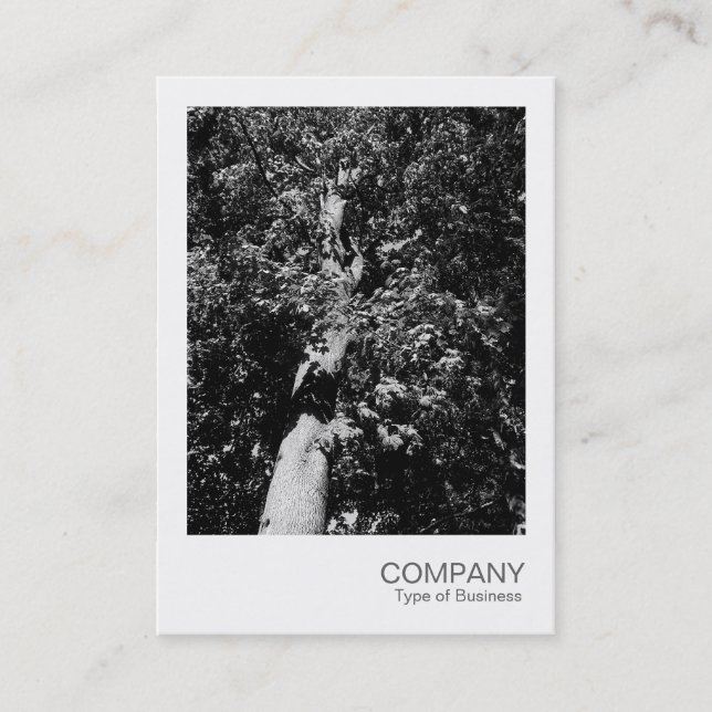 Instant Photo 025 - Plane Tree Business Card (Front)
