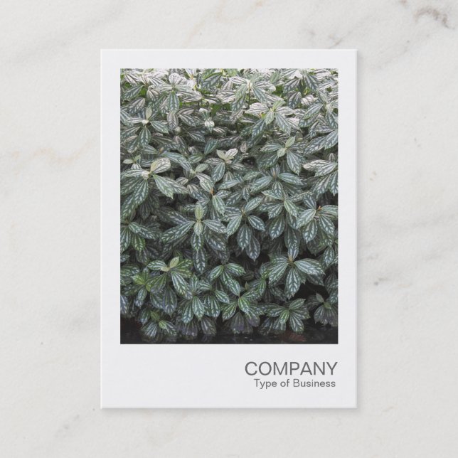 Instant Photo 036 - Botanical Gardens 02 Business Card (Front)