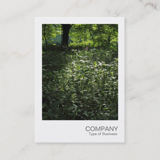 Instant Photo 042 - Spring in the Woods Business Card (Front)