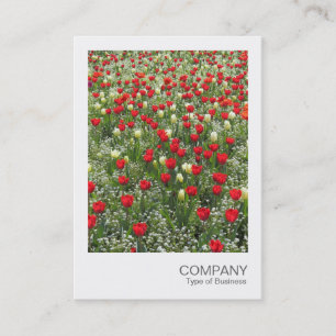 Instant Photo 085 - Bed of Tulips Business Card